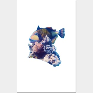 Triggerfish On A Coral | Red Sea Dive | Portrait Format | Posters and Art